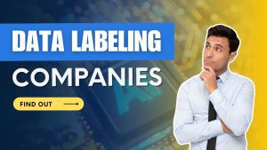 Data Labeling Companies